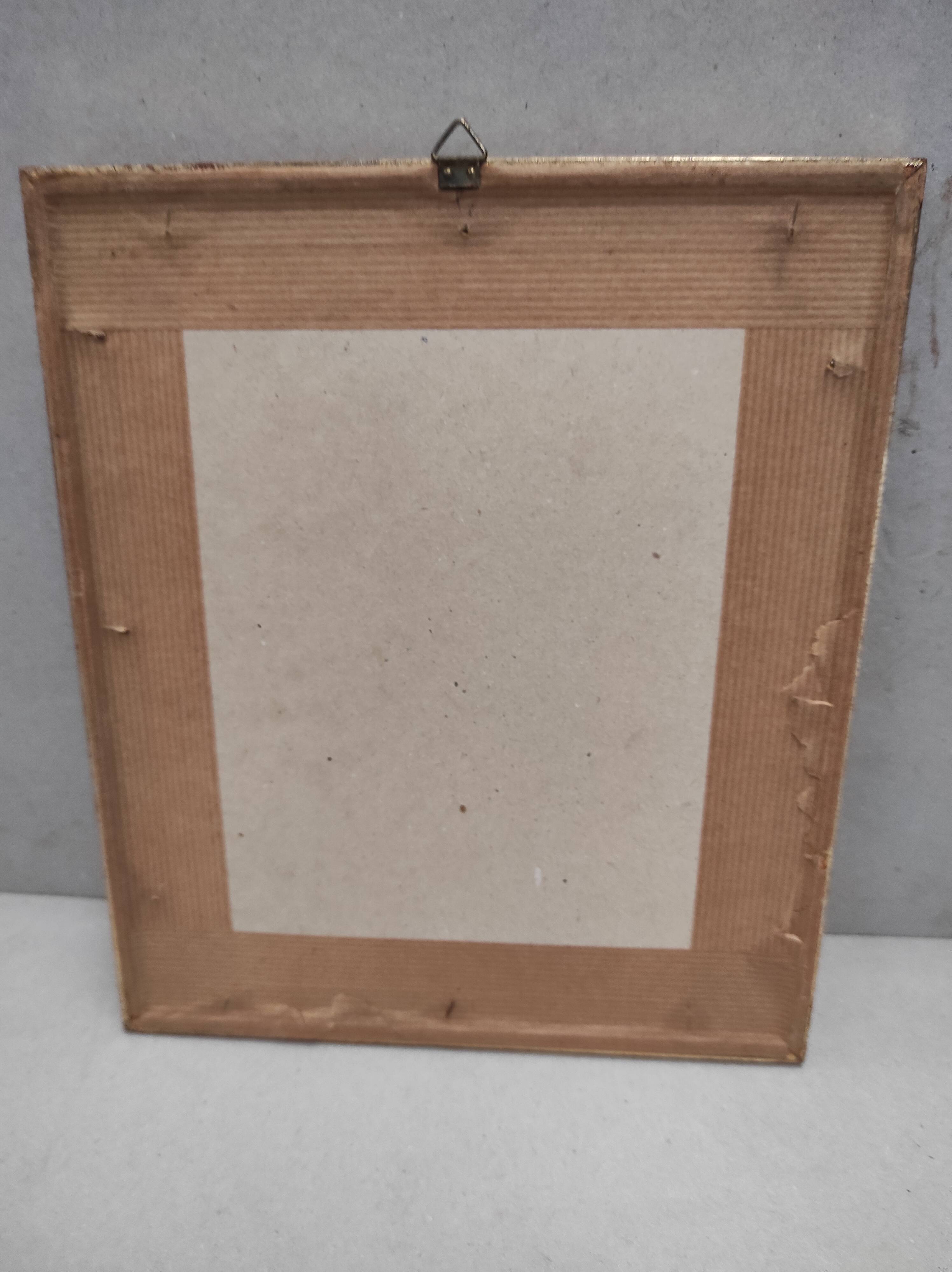 Lithography illustration bird Parus C-ruleus vintage engraving gilded frame