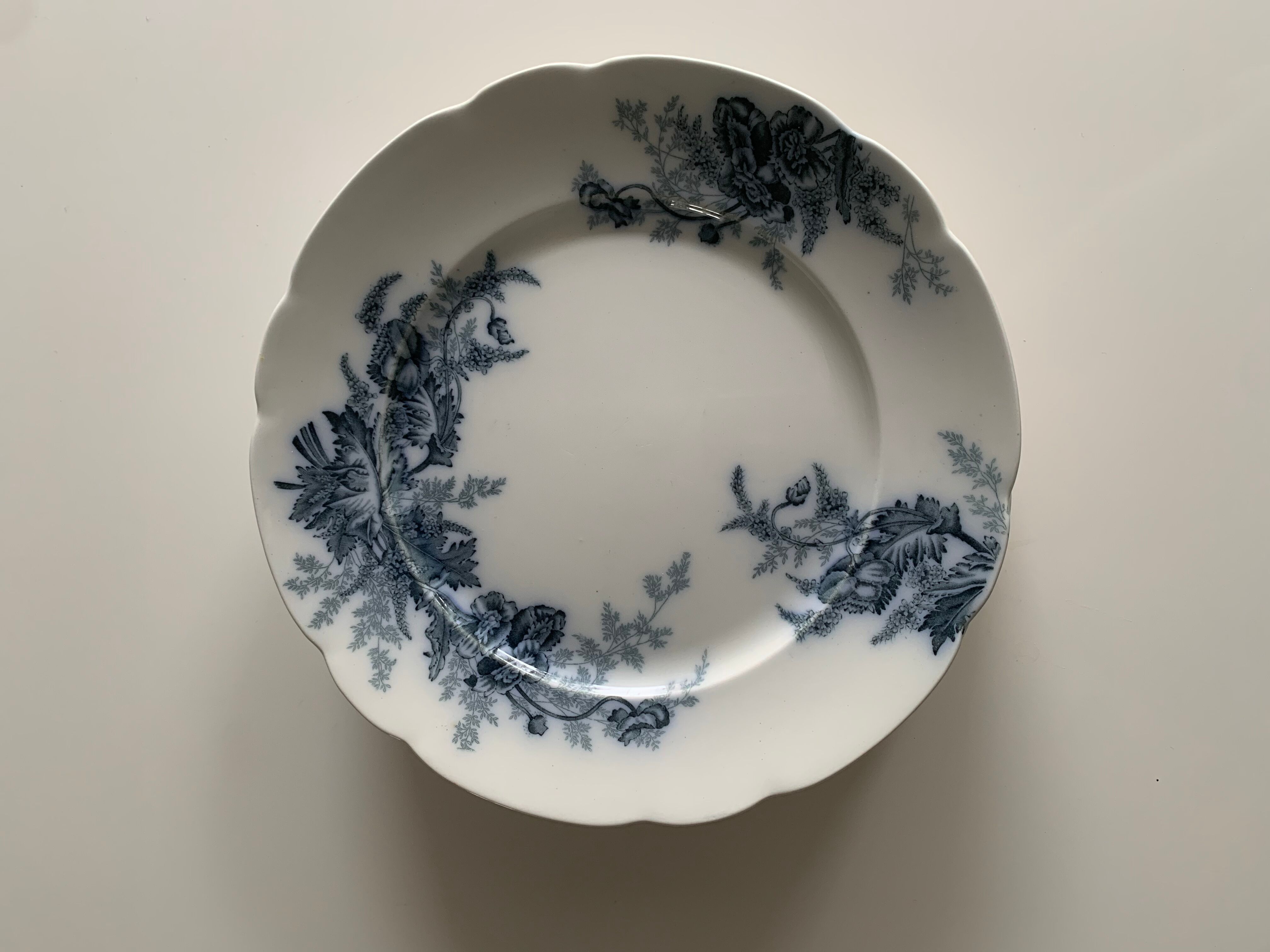 Set of seven flat plates in Johnson Bros English porcelain