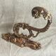 Golden bronze coat hook, 19th century