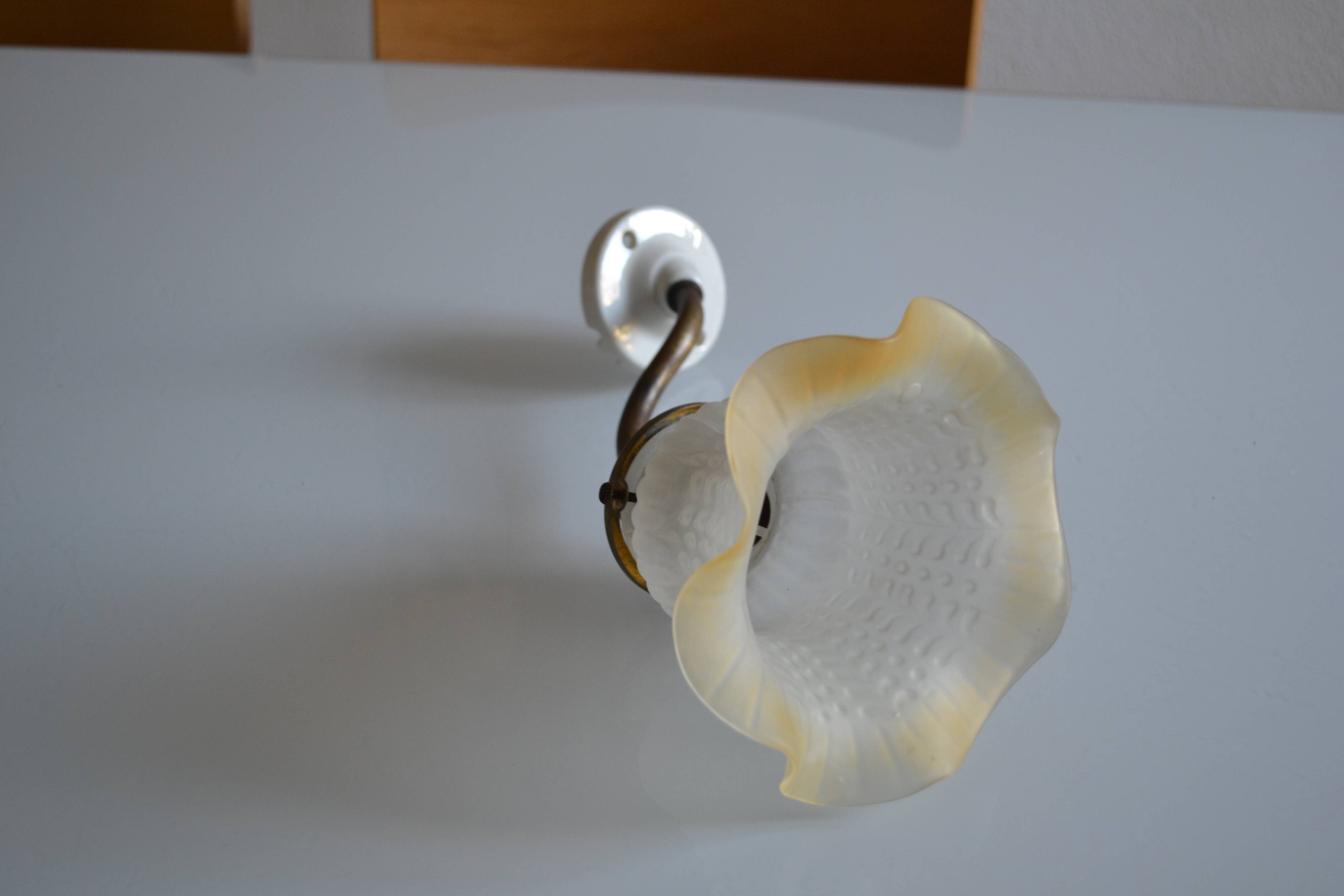 Swan neck wall lamp and its tulip, early 20th century.