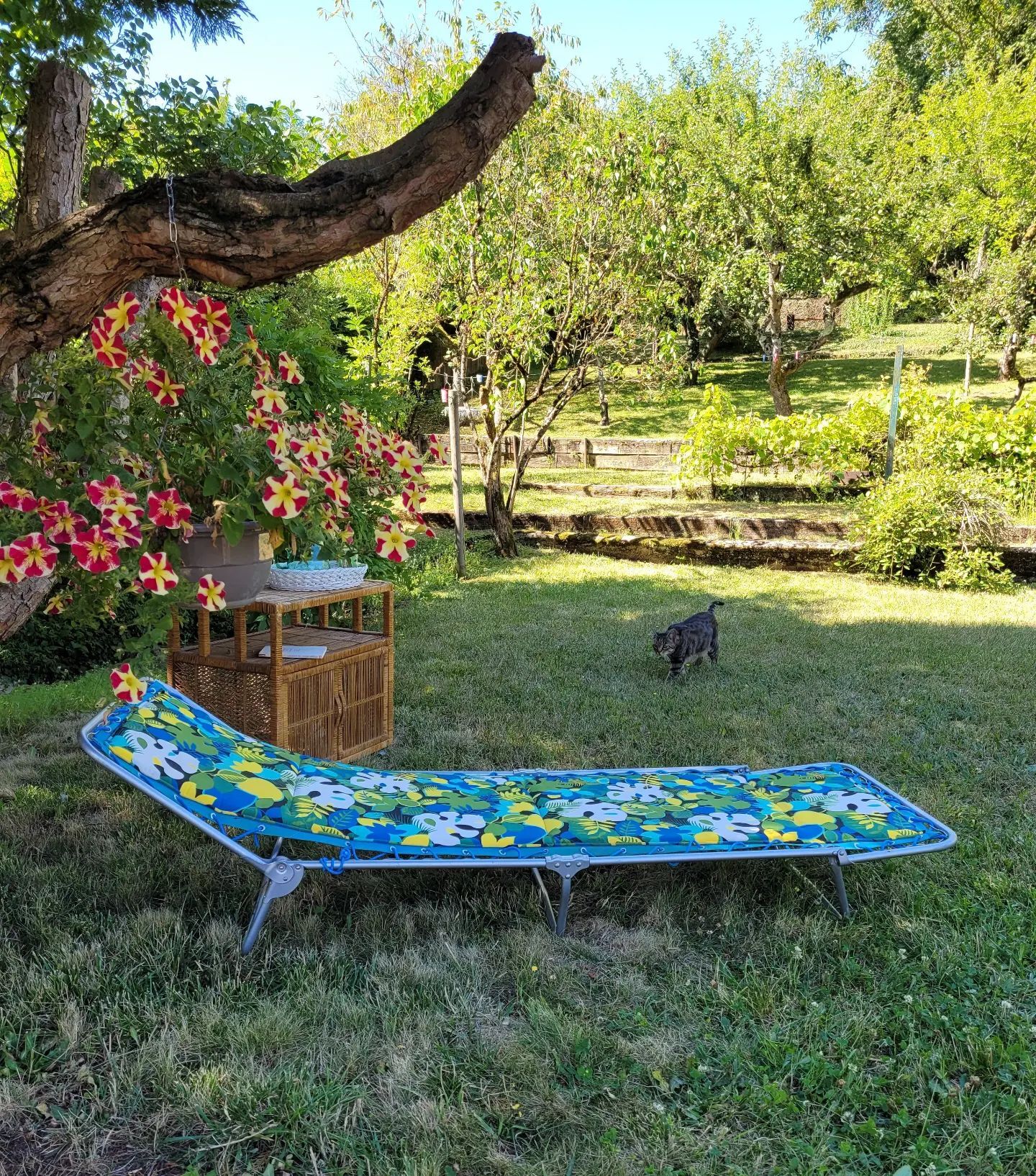 Vintage camp bed deck