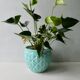 Ceramic pot cover Saint Clément France, artichoke model