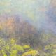 Paysage à l'huile sur toile