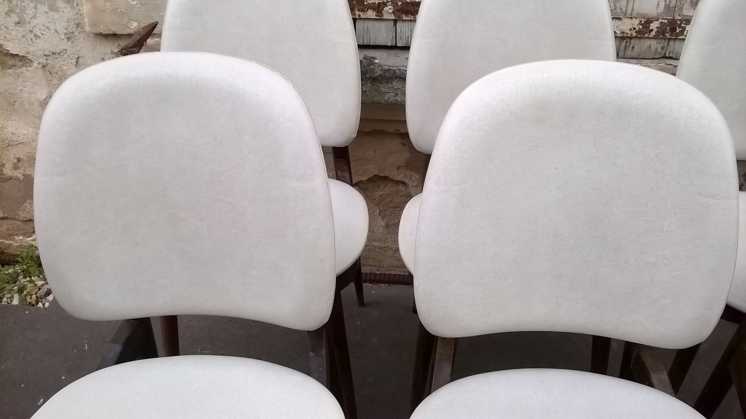 six Baumann Chair model Pegasus