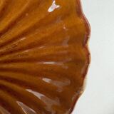 Sandstone scallop shells