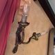 Antique brass wall light
