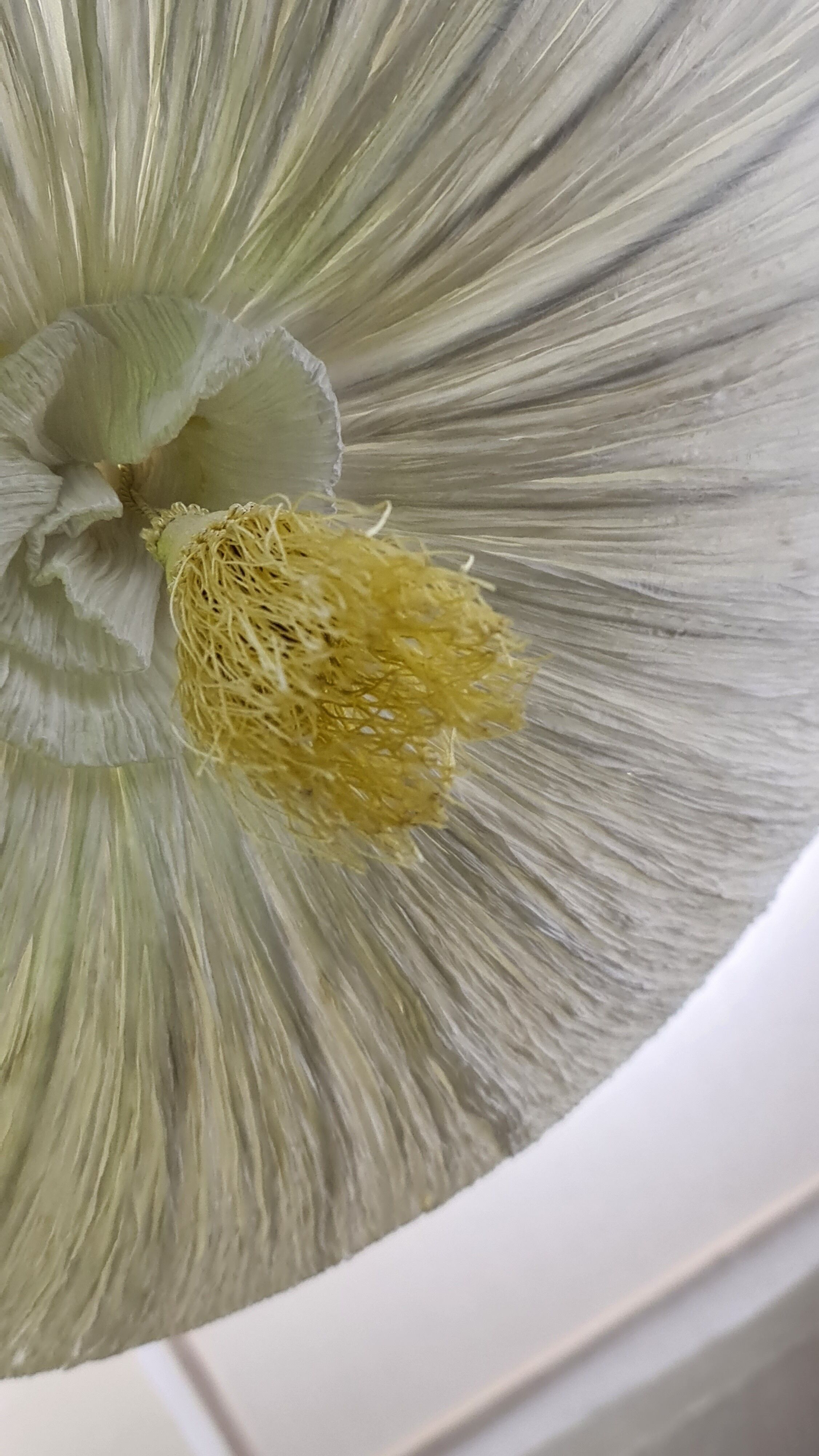 Vintage XL hanging lamp