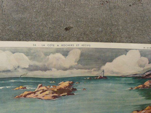 Affiche scolaire Rossignol La côte à rochers et récifs d' un côté / la côte à falaise à marée basse