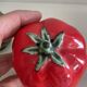 Ceramic artichoke tomato salt and pepper shakers in slip