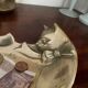 Vide-poche chat en laiton