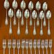 Art nouveau decor of iris 25 pieces