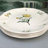 Flat plates stamped saline France