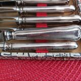 Set of 12 small knives in silver metal and stainless steel from the Ravinet d'Enfer Paris brand