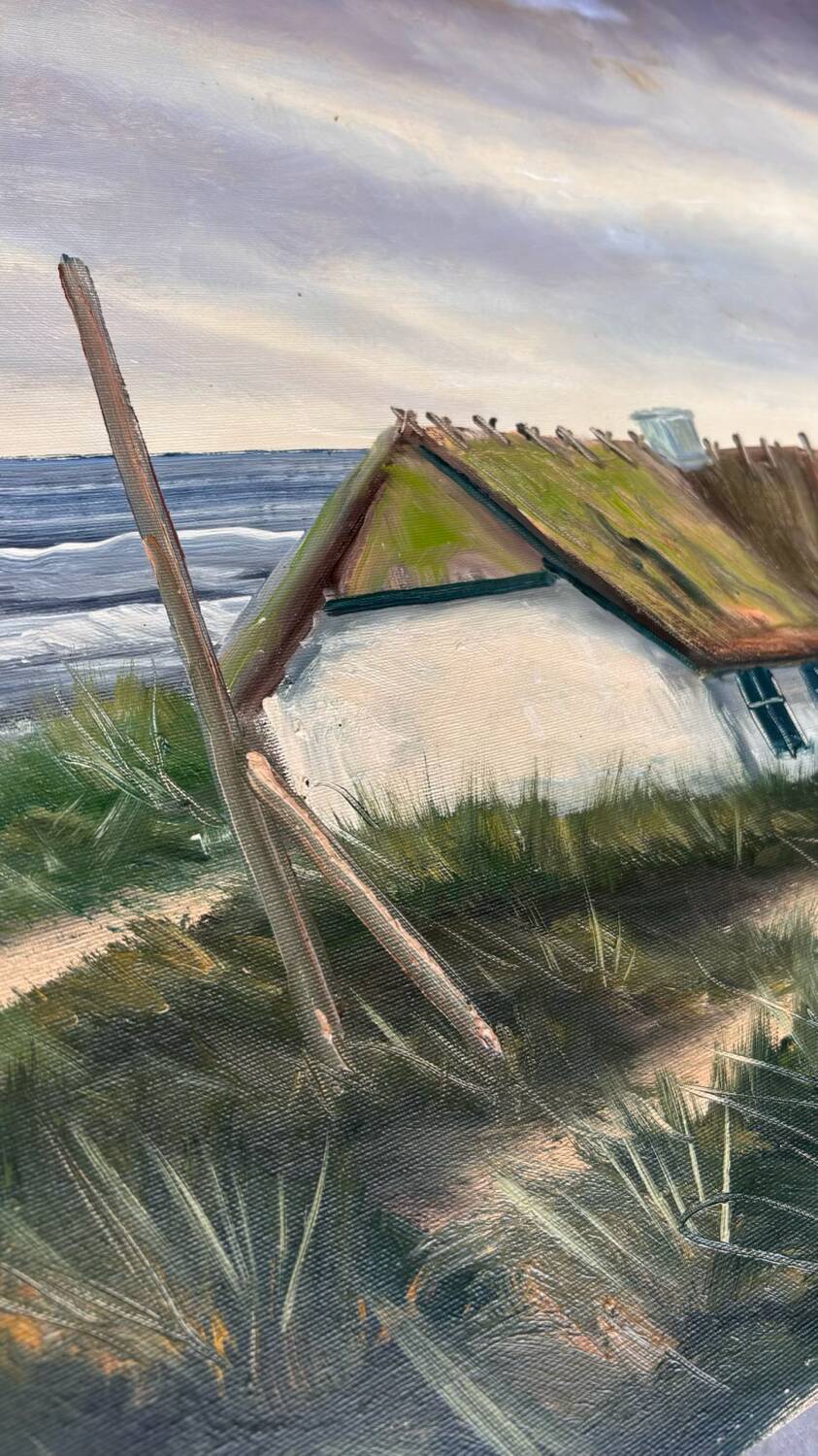 Painting Denmark sea view
