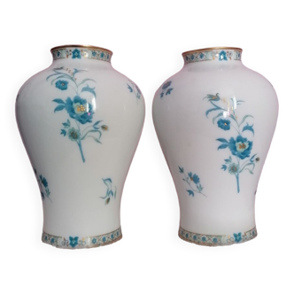 Vases haviland limoges