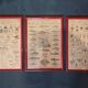 Set of educational boards on Natural History "New Imagery"