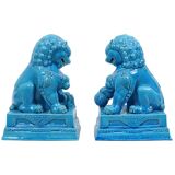 Large Temple Lion Statues Foo Dogs Blue Porcelain 25cm