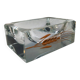 1960s rectangular ashtray or catch-all in Murano glass by Pagnin & Bon with handcrafted 24k gold finishing. Made in Italy.
