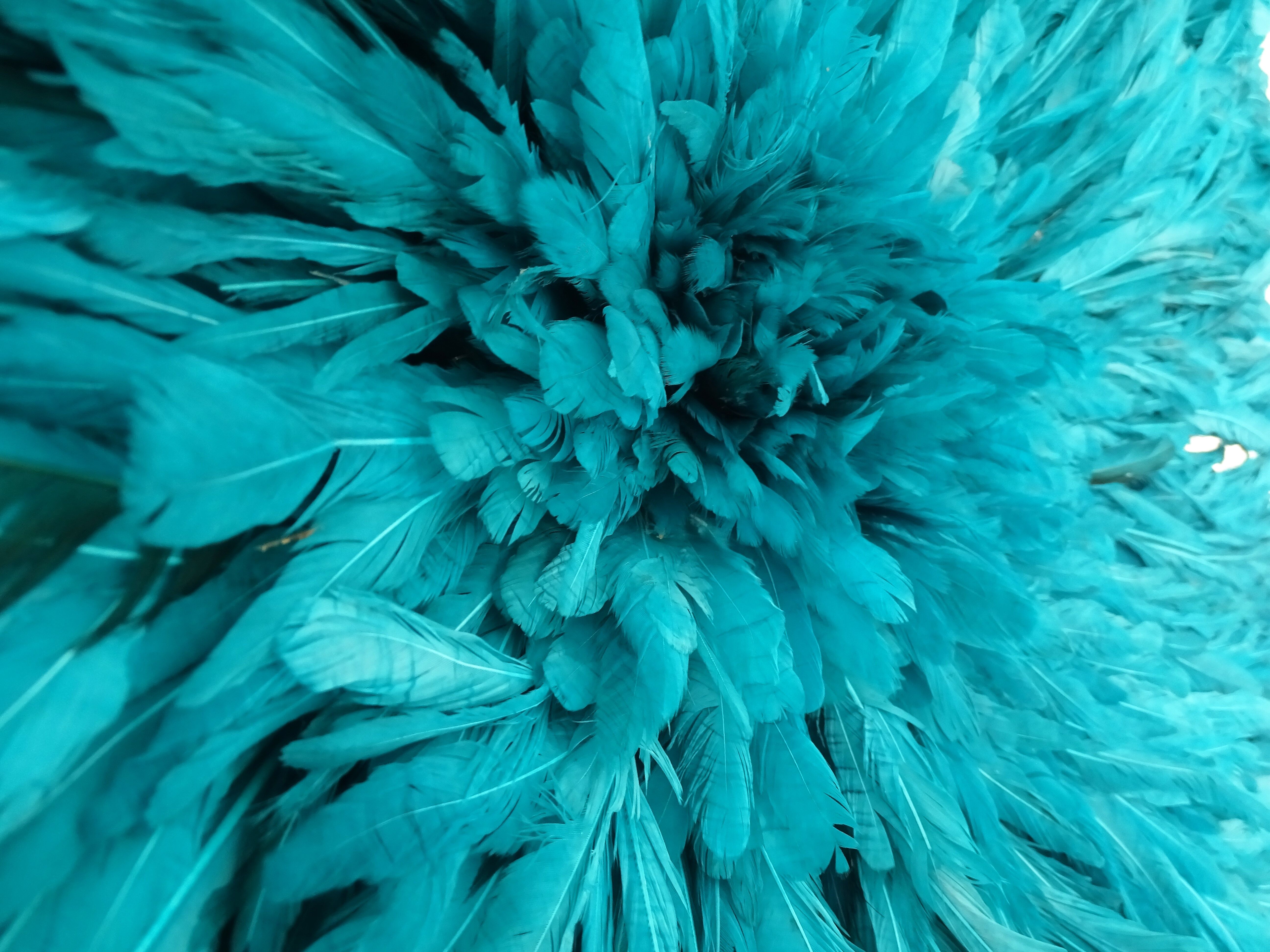 Juju Hat aqua clear 80cm