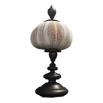 Cabinet of Curiosities sea urchin Echinus esculentus on pedestal