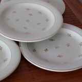 11 mint salt dessert plates