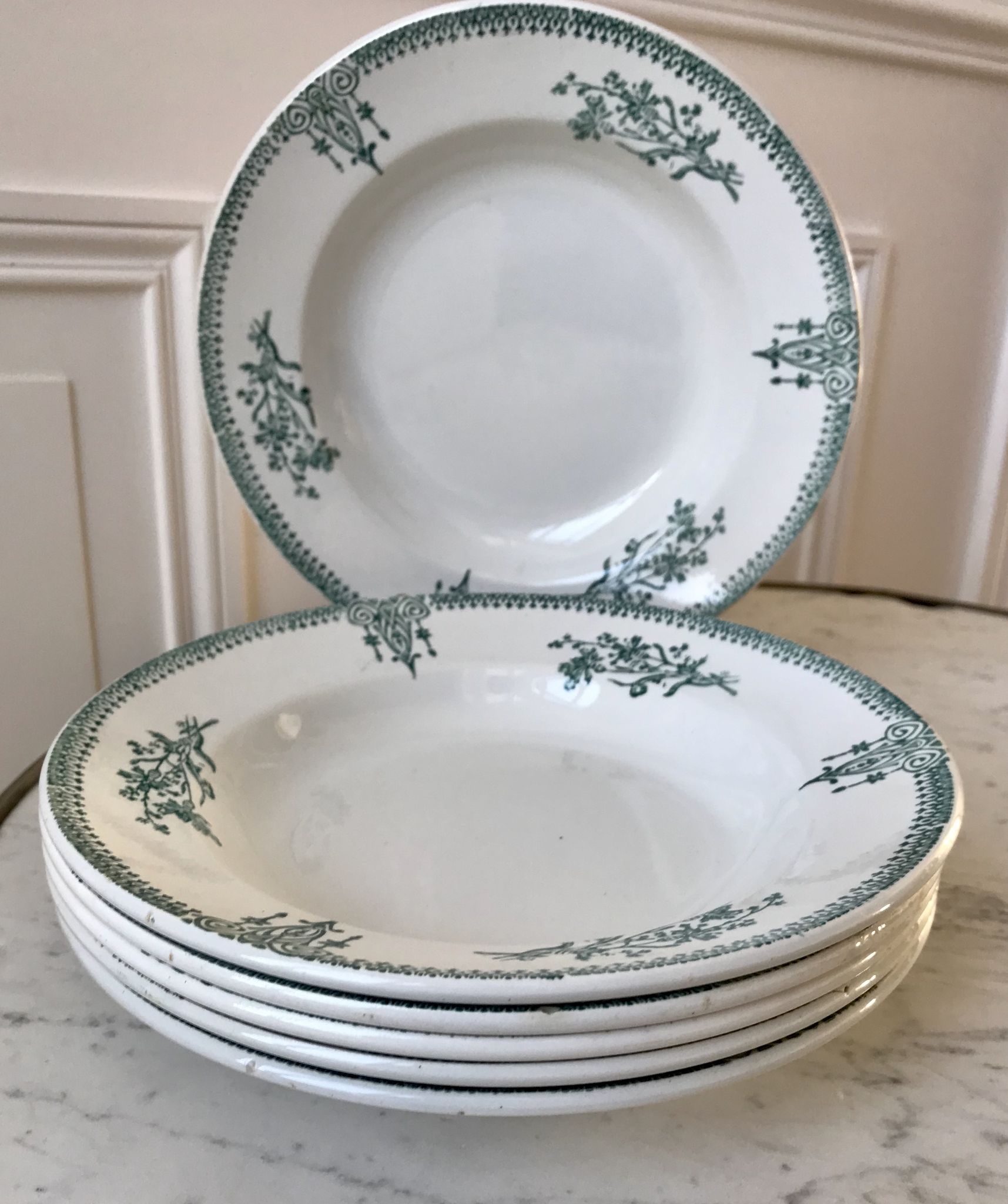 Lot of 6 hollow plates Terre de Fer Saint-Amand late nineteenth