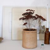 Old terracotta pot Provence XIX th