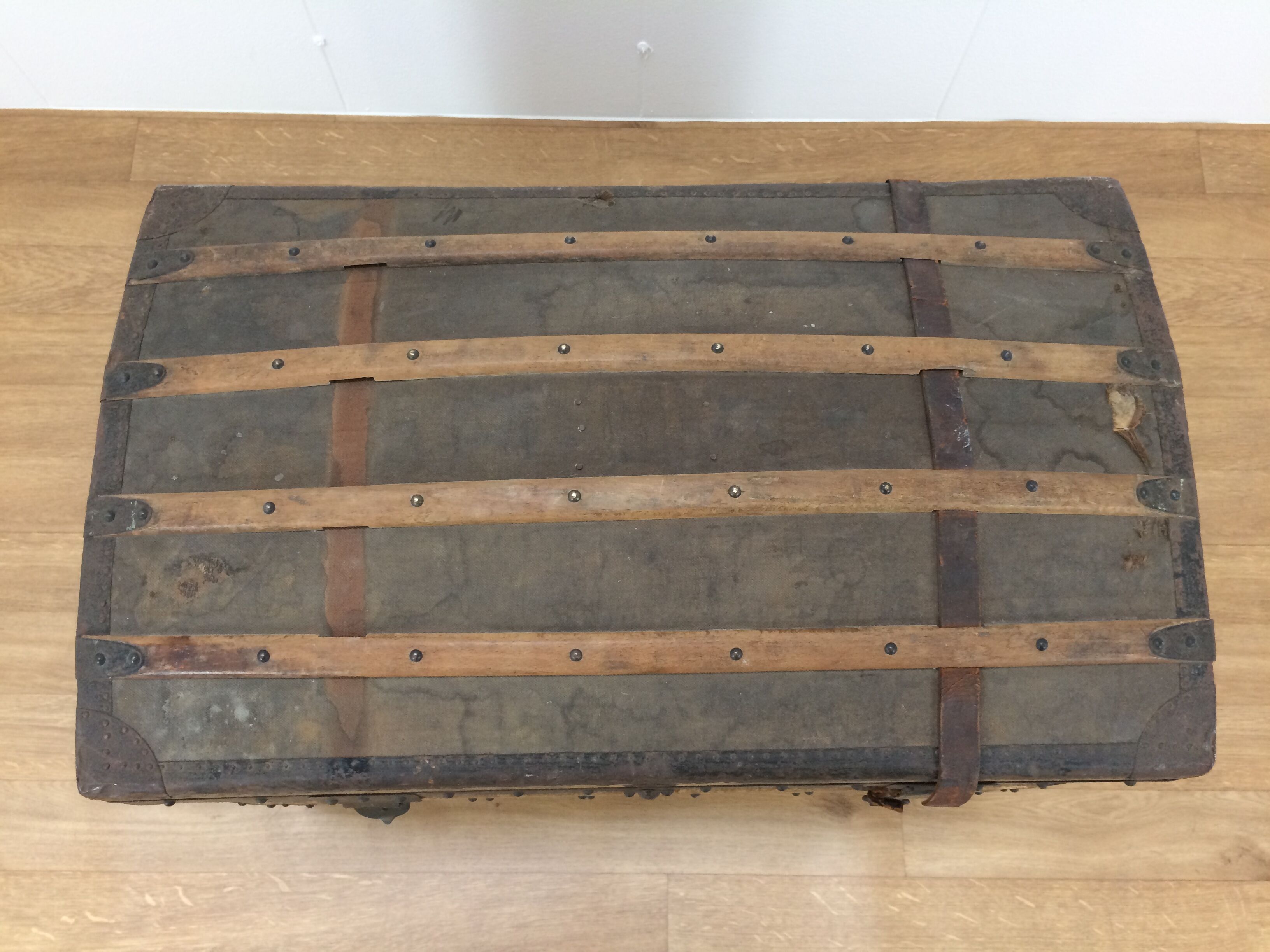 Bulging trunk at the tourist