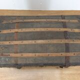 Bulging trunk at the tourist