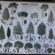 School poster / m.d.i / 1974 mediterranean deciduous coniferous trees