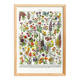 Affiche sur les fleurs "amarante", d'après une lithographie de 1928