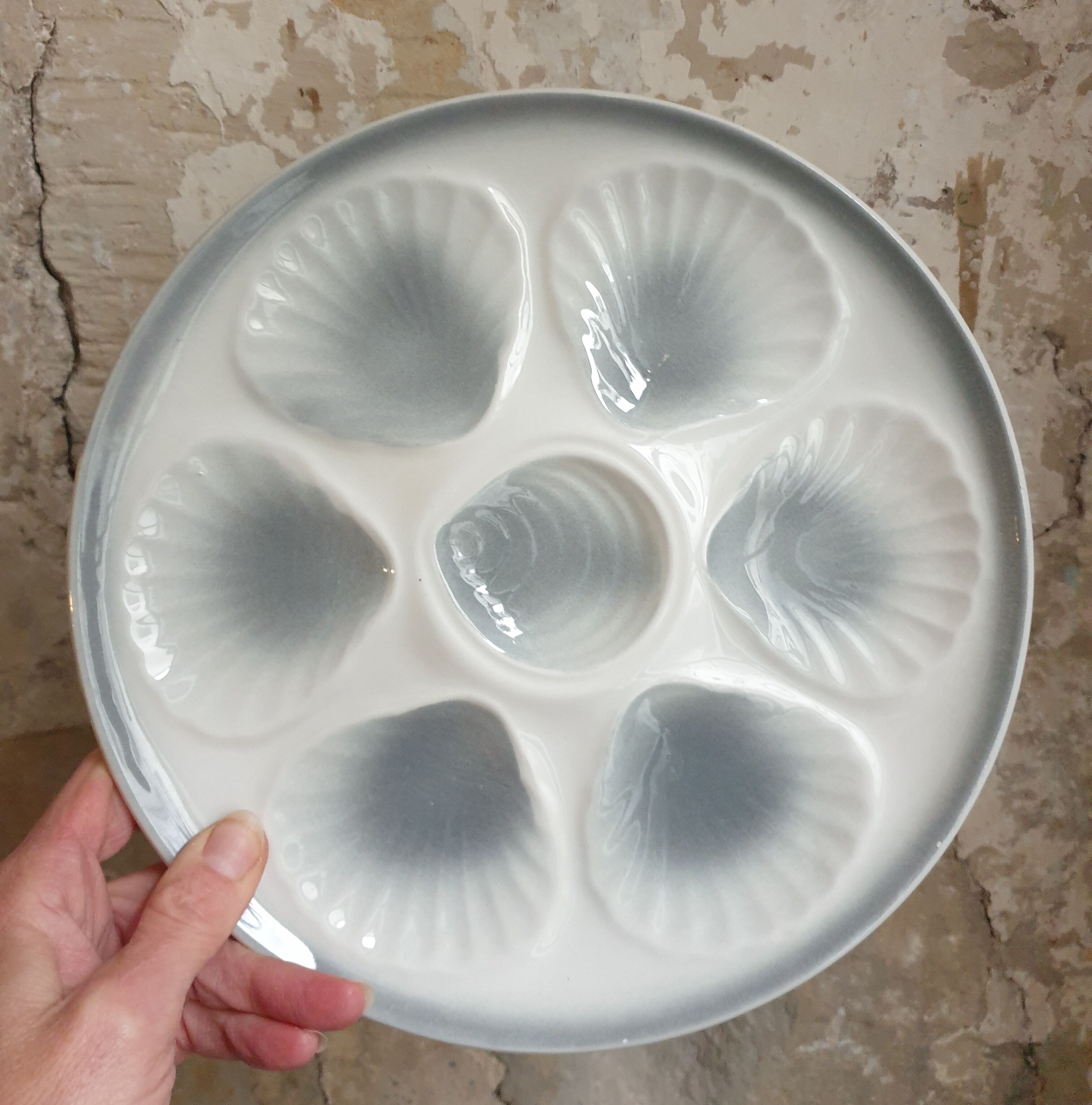 Suite of 12 oyster plates