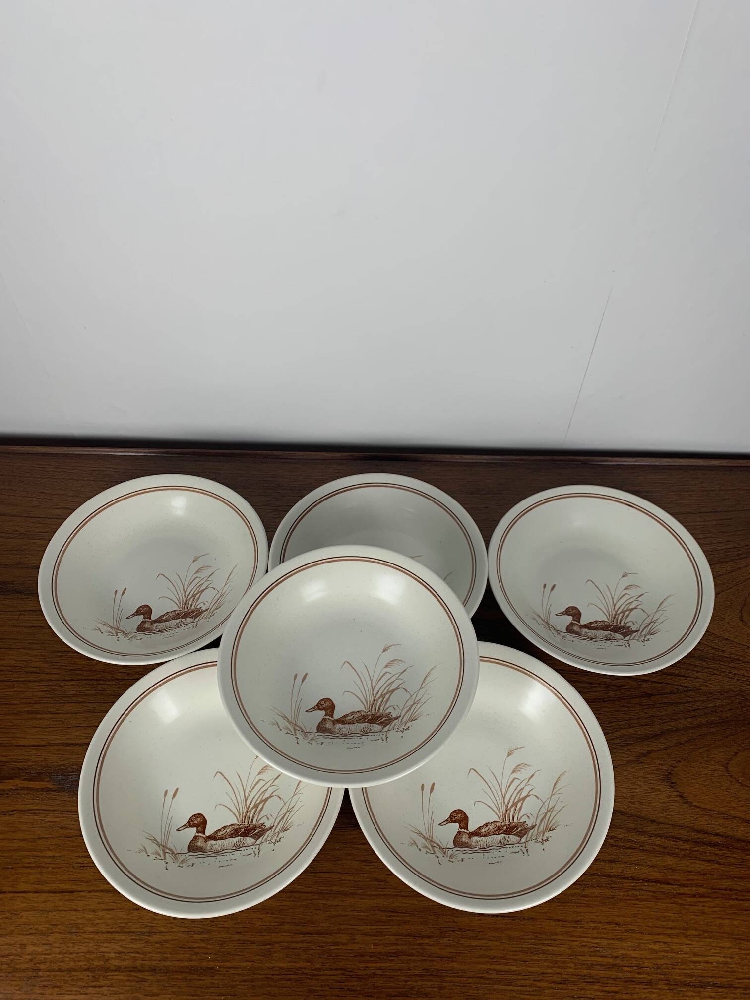 Set of 6 Vintage Churchill England Soup Plates – Duck Pattern