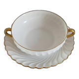 Havilland Limoges porcelain cup and saucer