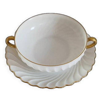 Havilland Limoges porcelain cup and saucer