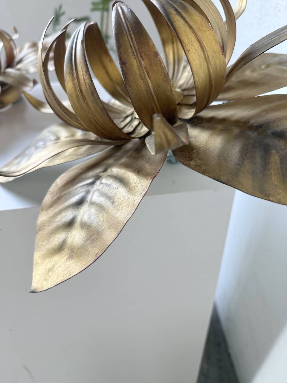 Pair of gold metal flower wall lights