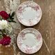 Assiette plate campanule rose x2