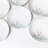 Set of 8 large vintage porcelain plates