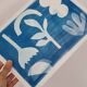 Graphical cyanotype