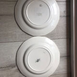 Digoin Sarreguemines plate