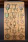 Educational poster, botanical chart of CAMPANULACEAE
