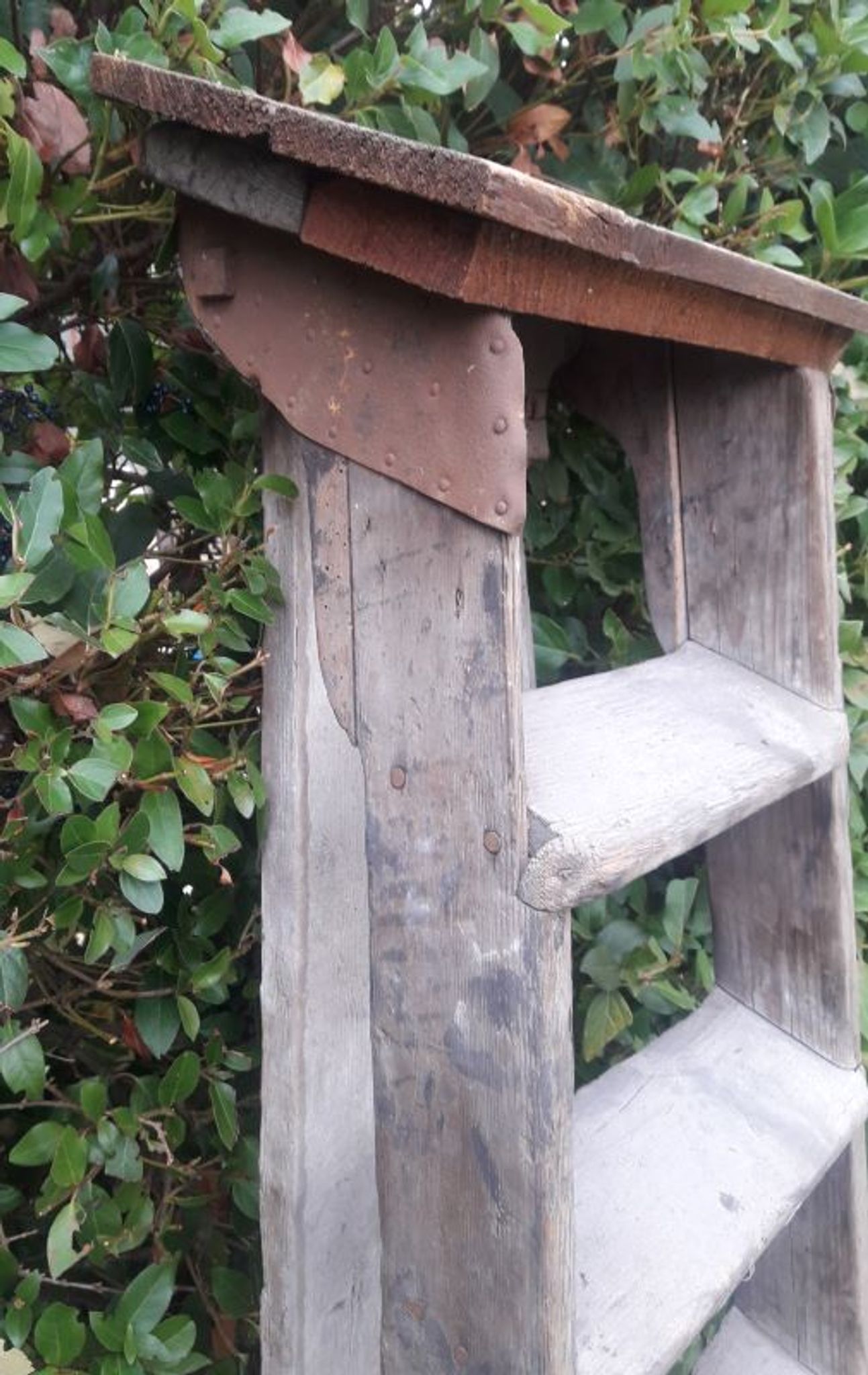 Artisan wooden ladder 6 steps