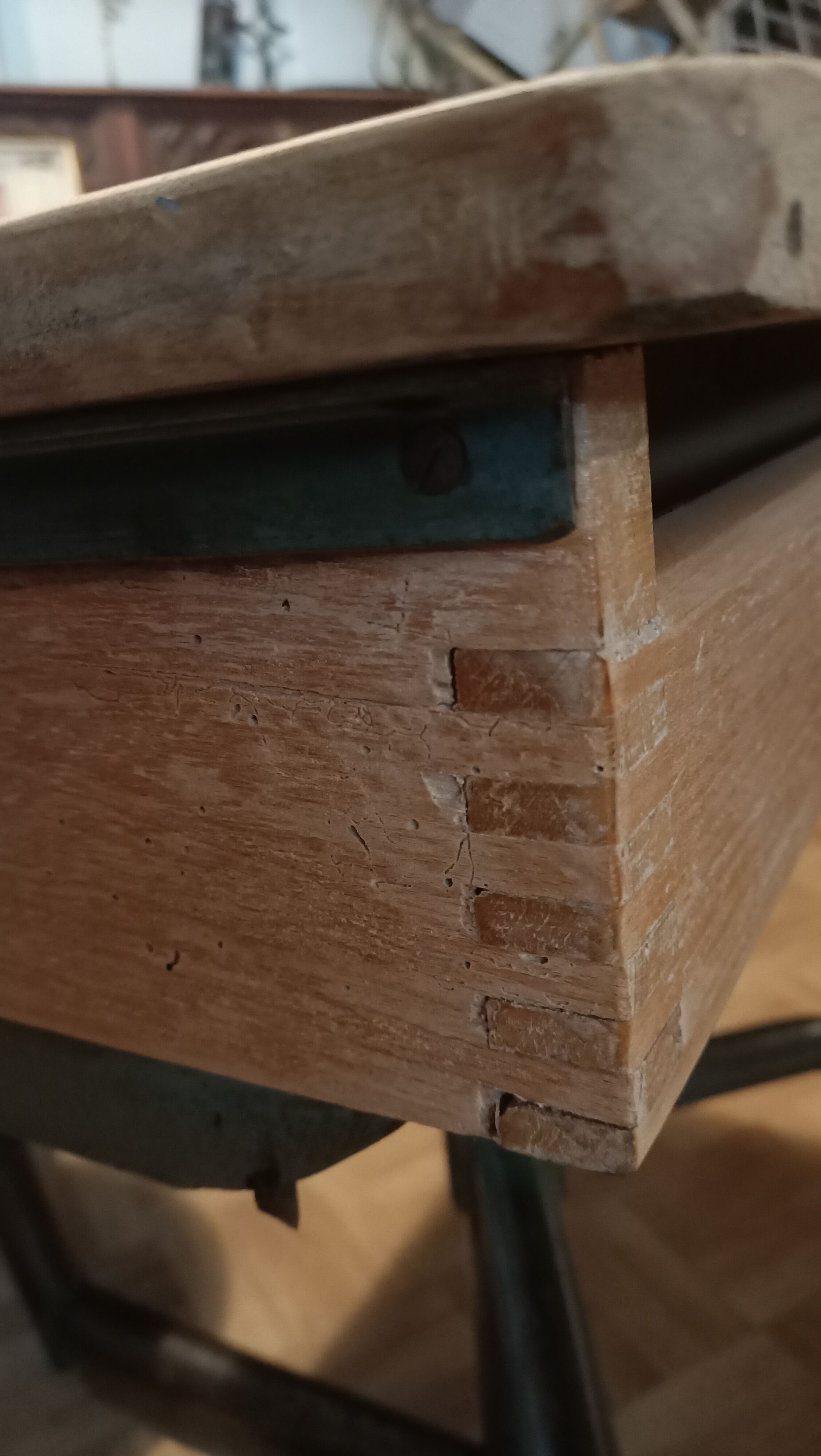 School office year 50