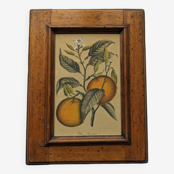 Tableau aux oranges et son cadre en bois