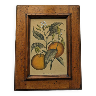 Orange painting and its wooden frame