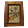 Tableau aux oranges et son cadre en bois