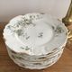 set of 9 plates Clématites porcelain Limoges Art Nouveau