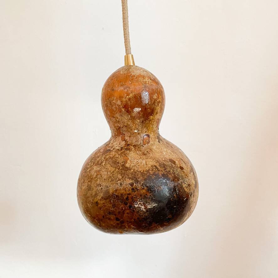 Calabash plant lamp