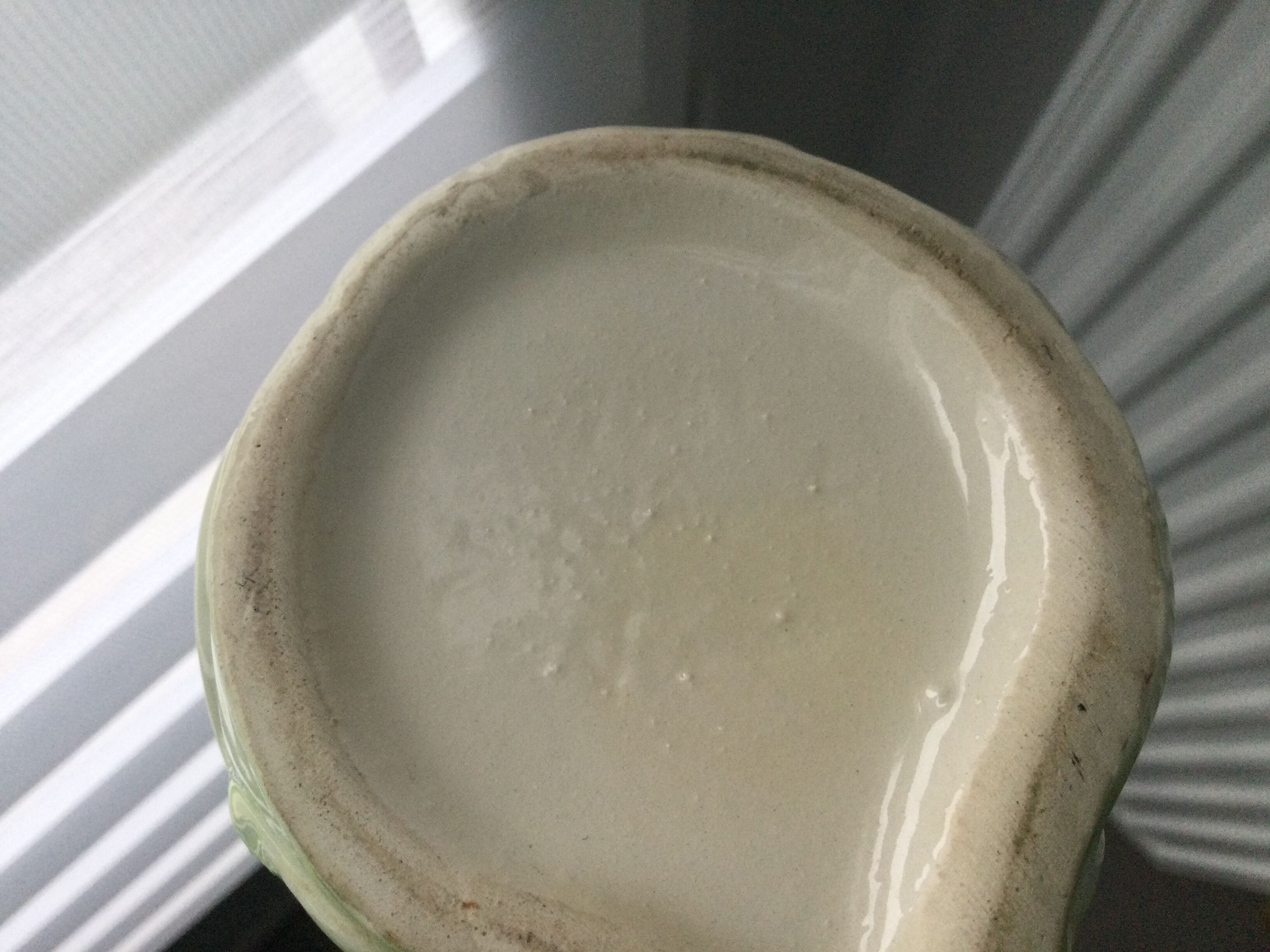 Parrot pitcher in Slip