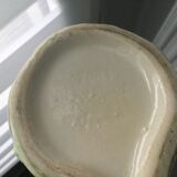 Parrot pitcher in Slip